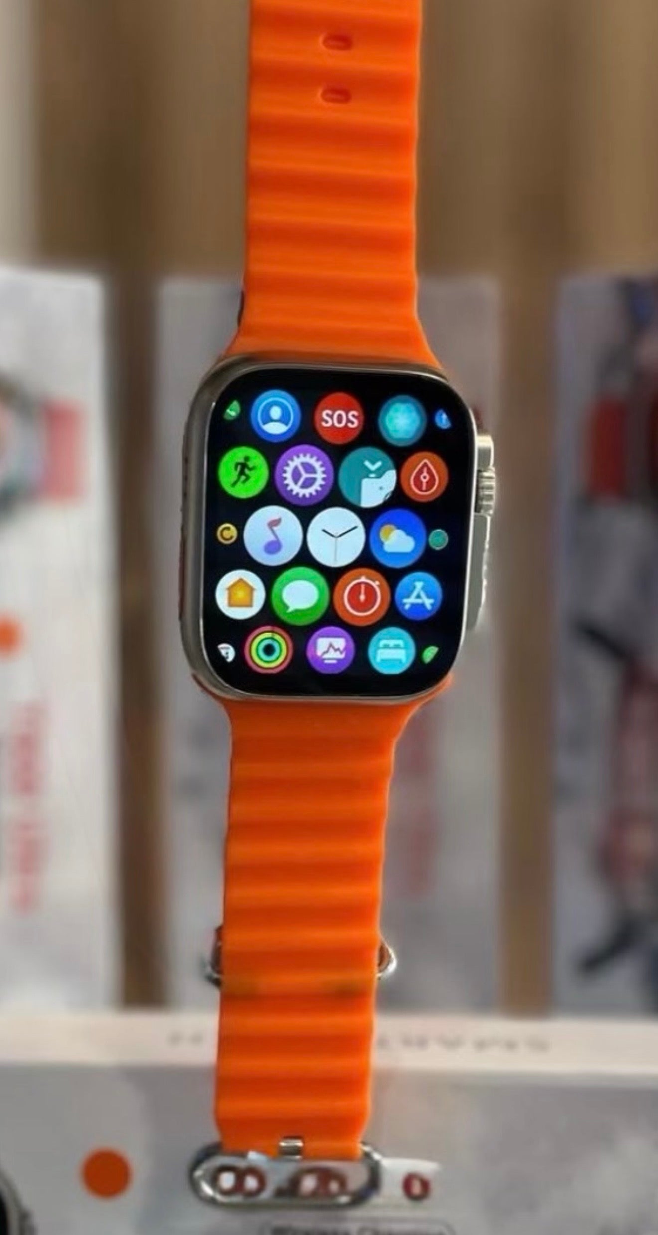 Smartwatch 44MM Titanium