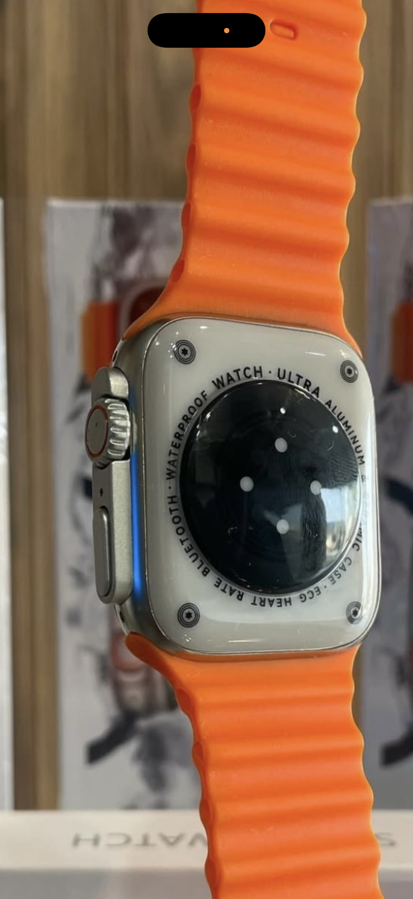 Smartwatch 44MM Titanium