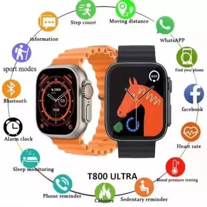 Smartwatch 44MM Titanium
